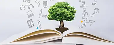 我国输送机械借鉴国外技术实现提高