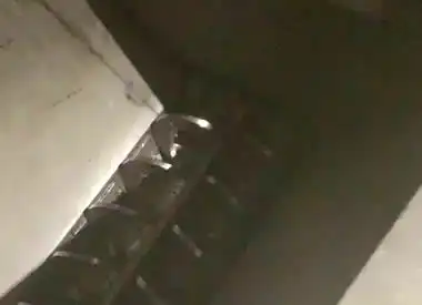 污水污泥餐厨垃圾处理设备  